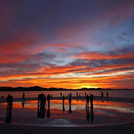 Zubcic דירה זאדאר